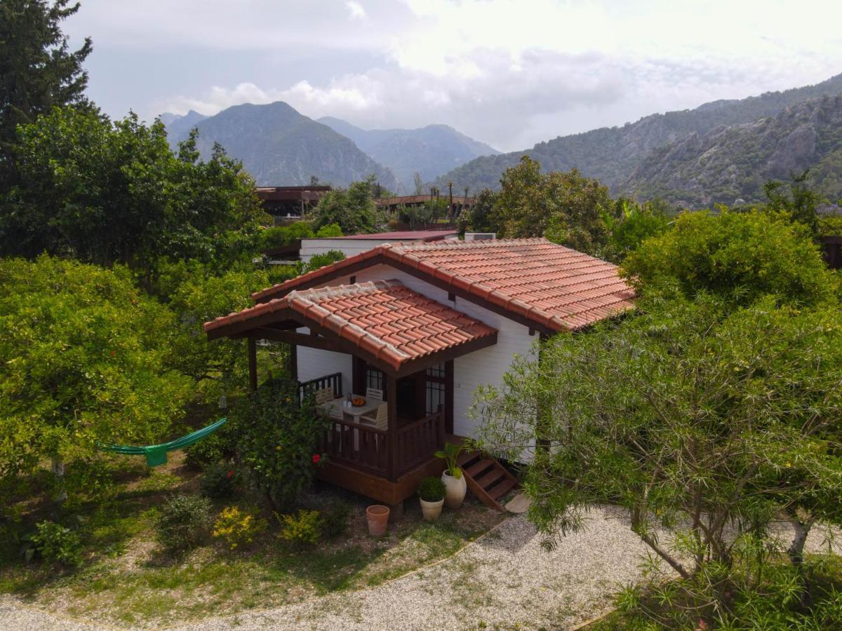 Kimera - Akdeniz Bahcesi Apart Hotel Чирали Экстерьер фото