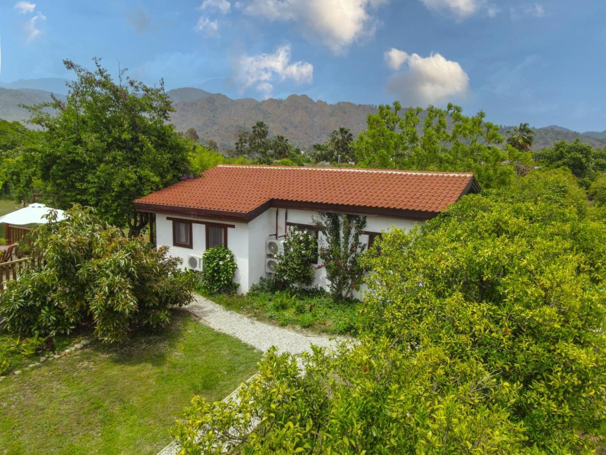 Kimera - Akdeniz Bahcesi Apart Hotel Чирали Экстерьер фото