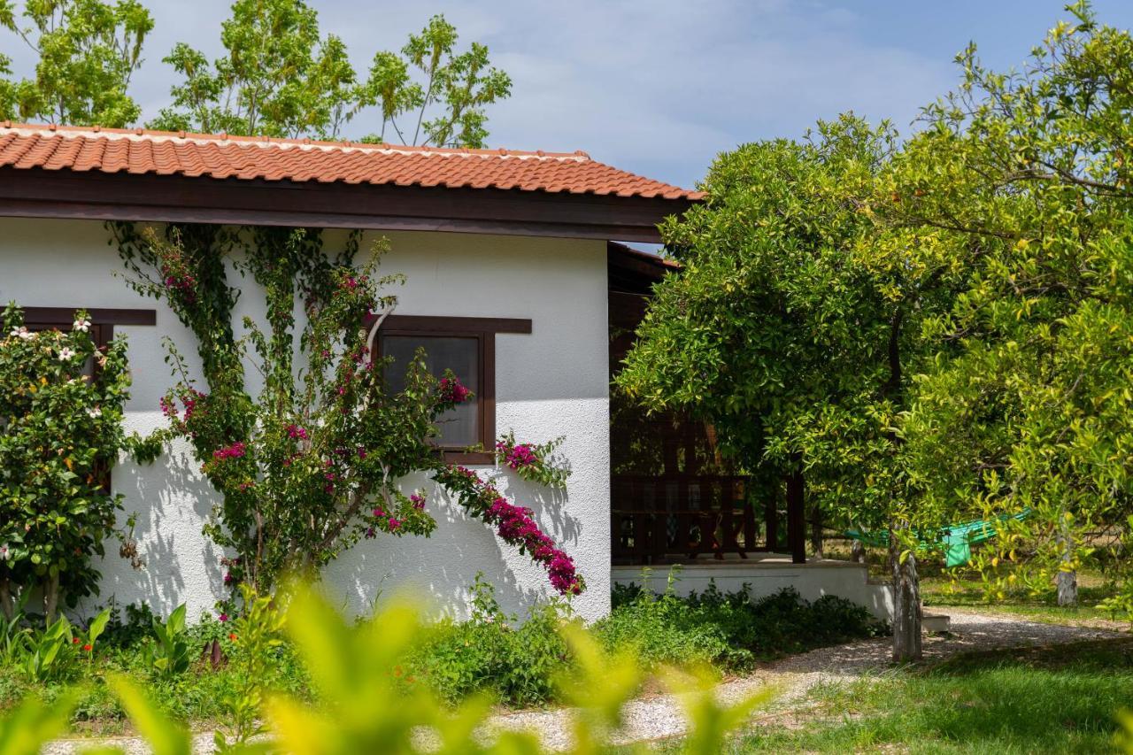 Kimera - Akdeniz Bahcesi Apart Hotel Чирали Экстерьер фото